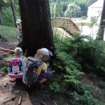 phoca_thumb_m_vp- 4. den  68 Fotogalerie